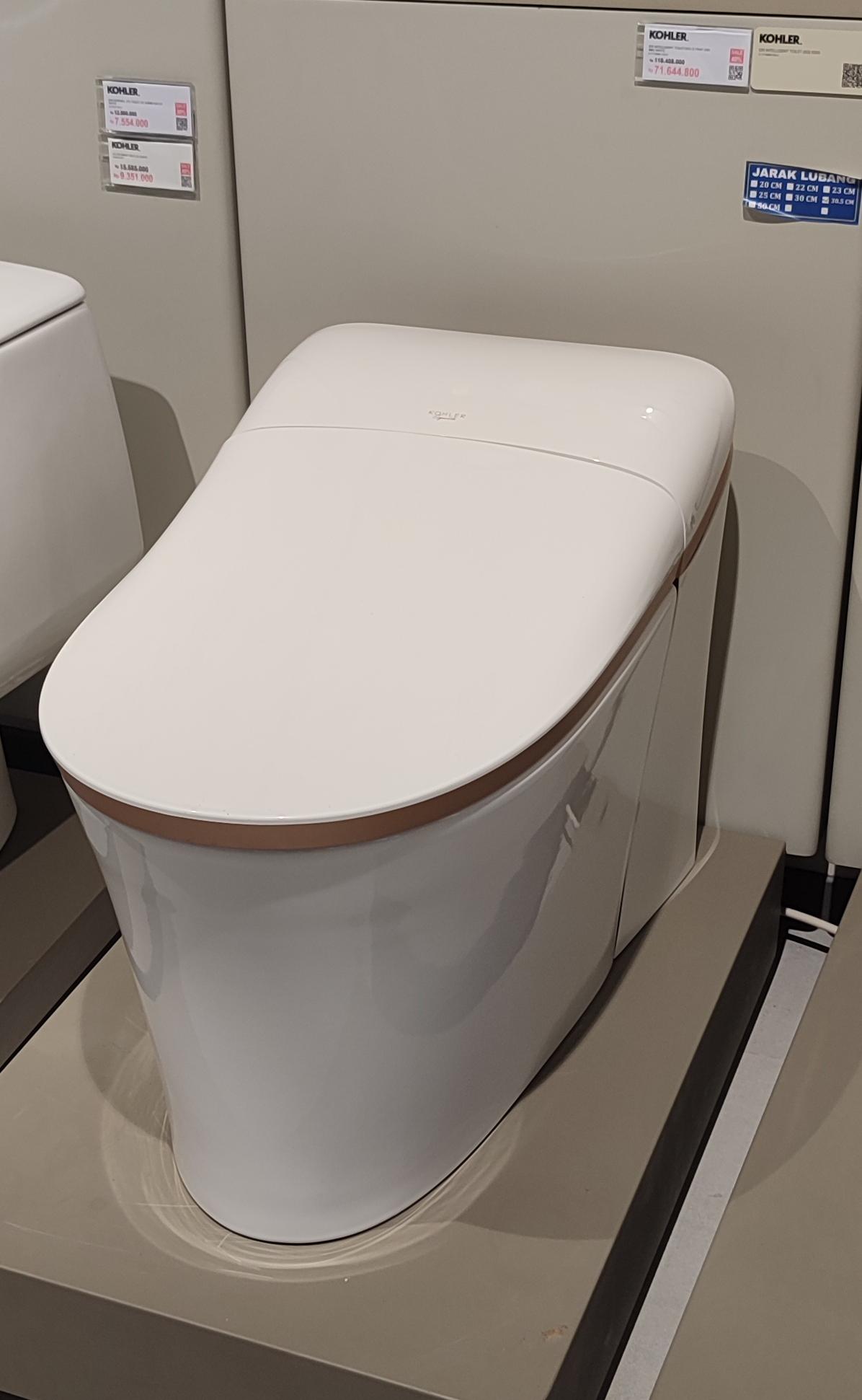 eir intelligent toilet